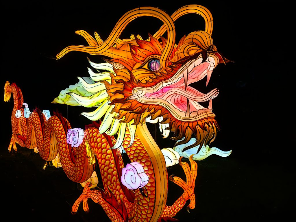 Dragon illumination